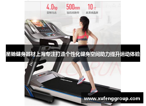 星驰健身器材上海专注打造个性化健身空间助力提升运动体验