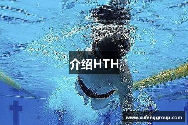 介绍HTH